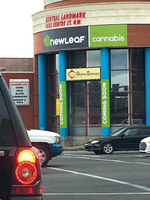 中國僑網(wǎng)加拿大卡加利華裔店主馬旭輝把他在新亞州廣場的鋪租給大麻店。 (加拿大《星島日報》/受訪者供圖)