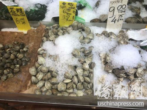 中國僑網紐約華埠海鮮市場出售的新鮮貝殼類海鮮,。(美國《僑報》/尹英姿 攝)