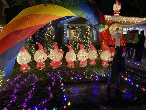 中國僑網(wǎng)還有人將Hello Kitty作為主題,,深受小朋友的喜愛,。 (美國《世界日報(bào)》/李榮 攝)