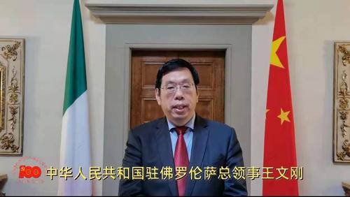 中國僑網(wǎng)王文剛總領(lǐng)事致辭的視頻截圖