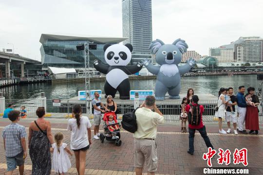 中國僑網(wǎng)浮動熊貓考拉暢游悉尼情人港?!≠R吉 攝