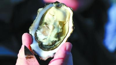 中國(guó)僑網(wǎng)