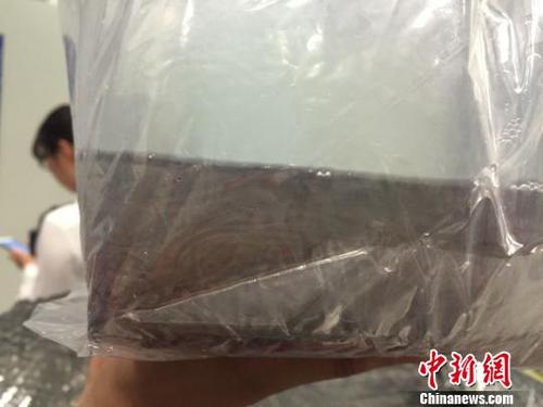 中國(guó)僑網(wǎng)圖為截獲的魚苗,。浙江檢驗(yàn)檢疫供圖