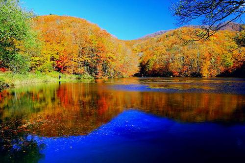 中國(guó)僑網(wǎng)資料圖:福島裏磐梯的紅葉景色,。