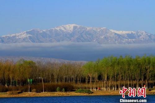 中國僑網(wǎng)一場春雨過后,,遠望祁連山,白雪皚皚,、云霧繚繞,。 陳禮 攝