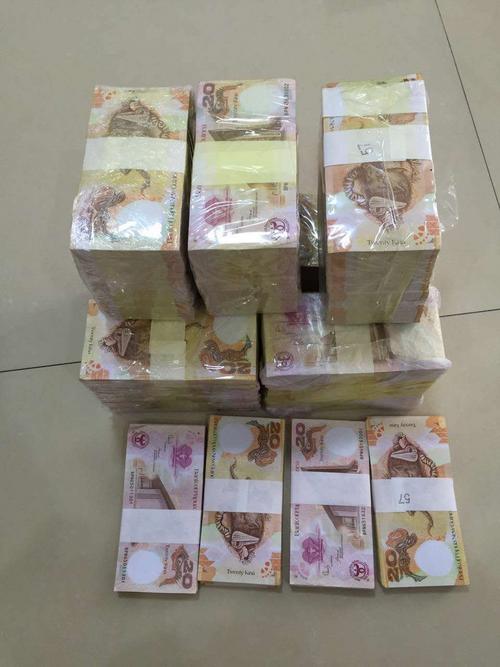 中國僑網(wǎng)網(wǎng)上兜售的假巴新貨幣。(巴新華助中心圖片)