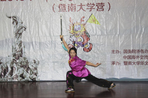 武術(shù)表演