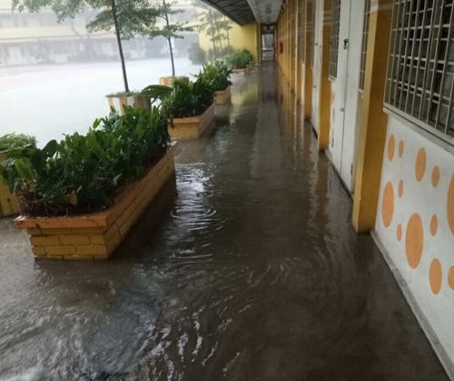中國僑網(wǎng)當?shù)貢r間26日,,公民華小再次發(fā)生水災,,校園內(nèi)一片汪洋,。(馬來西亞《星洲日報》)