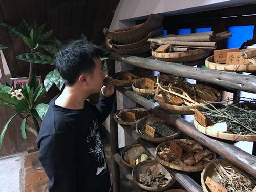 中國僑網學員體驗聞香識藥。