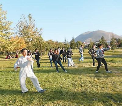 中國僑網(wǎng)劉召明在教學(xué)生打太極拳