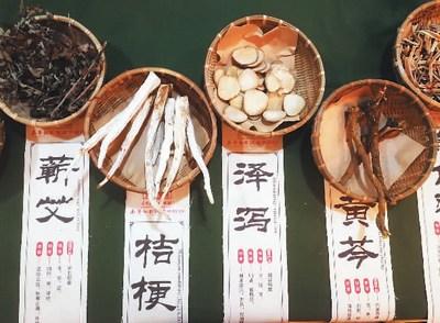 中國僑網(wǎng)第十三屆孔子學(xué)院大會中醫(yī)藥展覽,。 趙曉霞 攝