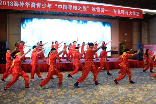 中國(guó)僑網(wǎng)武術(shù)表演