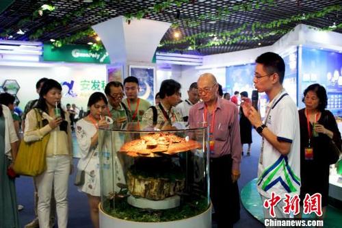中國僑網(wǎng)圖為海外華文媒體代表參觀僑資企業(yè),?!∪~茂 攝