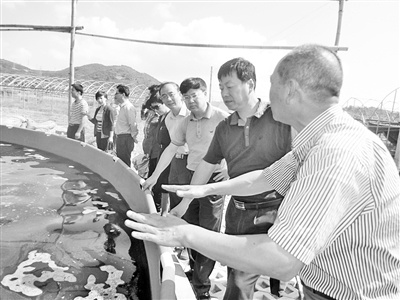 中國(guó)僑網(wǎng)10月20日,,福建省僑辦副主任林澤春與寧德市外僑辦領(lǐng)導(dǎo)赴福鼎太姥山鎮(zhèn)瀲城村,,實(shí)地考察基于硅藻南美白對(duì)蝦健康養(yǎng)殖項(xiàng)目,,并與福鼎朝輝水產(chǎn)開發(fā)有限公司總經(jīng)理陶大貴等座談,,共商項(xiàng)目發(fā)展前景,。(《福建僑報(bào)》)