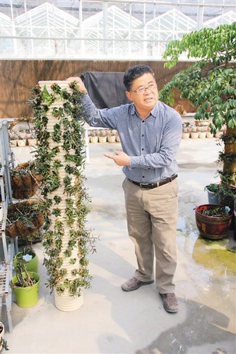 中國僑網(wǎng)圖為盧紹基介紹鐵皮石斛立體栽培技術(shù),。(《人民日報海外版》/嚴(yán)瑜 攝)
