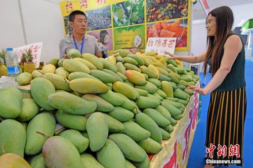 中國僑網(wǎng)6月14日,,為期3天的2017中國·天津華僑華人創(chuàng)業(yè)發(fā)展洽談會在天津梅江會展中心啟幕。 圖為臺灣水果受青睞,。 中新社記者 佟郁 攝