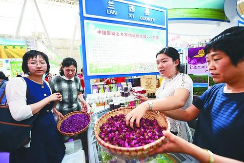 中國僑網(wǎng)市民正了解綏化展廳的特色物產(chǎn)。苗得雨攝