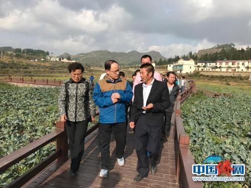 中國(guó)僑網(wǎng)歐美同學(xué)會(huì)海歸服務(wù)團(tuán)在貴州省義龍新區(qū)雨樟鎮(zhèn)并嘎村調(diào)研。 記者 冉文娟攝