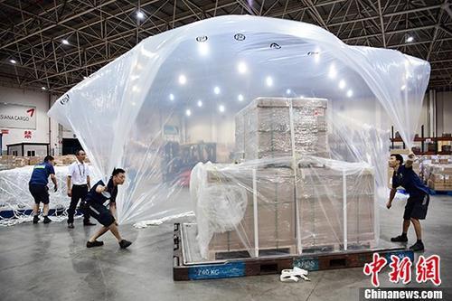 中國僑網(wǎng)8月5日凌晨,,順豐航空開通深圳—金奈全貨機(jī)航班,裝載小米手機(jī)配件從深圳寶安國際機(jī)場起飛運(yùn)往印度金奈,。圖為4日晚,,深圳機(jī)場國際貨運(yùn)中心工作人員在打板區(qū)作業(yè)。 中新社記者 陳文 攝