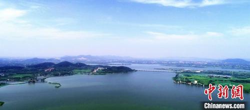 中國(guó)僑網(wǎng)圖為,武漢蔡甸 孫克亮 攝