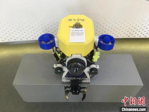 中國僑網(wǎng)朱鐵峰回國后創(chuàng)辦爾灣海洋智能科技公司。圖為其開發(fā)的微型水下機器人,。(受訪者供圖 《中國新聞》報發(fā))