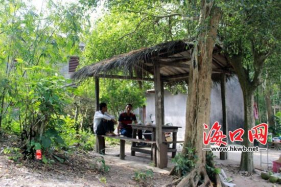 中國(guó)僑網(wǎng)蔡家大院旁邊供人休憩的草亭子,復(fù)古、原始,,倒有點(diǎn)意思。(海口網(wǎng)/李帥鋒 攝)