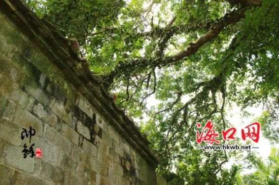 中國(guó)僑網(wǎng)蔡家大院屋頂上的是什么,?你猜,。(海口網(wǎng)/李帥鋒 攝)