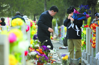 中國僑網(wǎng)數(shù)萬鮮花 免費(fèi)祭掃(《北京晚報》/張玉軍 攝)