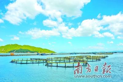 中國(guó)僑網(wǎng)近年來(lái),,潮州不斷優(yōu)化海洋生態(tài)環(huán)境,,加快發(fā)展海洋經(jīng)濟(jì),。圖為在饒平柘林灣的深海養(yǎng)殖基地,。王麗 攝