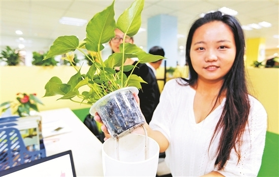 仰恩大學(xué)學(xué)生創(chuàng)業(yè)基地中,,學(xué)生設(shè)計(jì)制作了免澆水花盆。(林勁峰