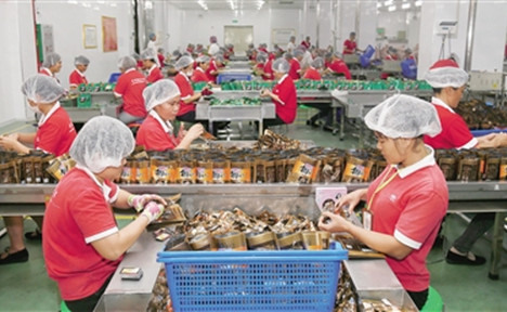 萬寧市東澳口味王檳榔生產(chǎn)基地吸納350多名貧困人口就業(yè),。圖為工人在生產(chǎn)線包裝成品。本報記者