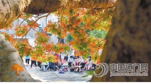 “鳳凰花開時節(jié)”。