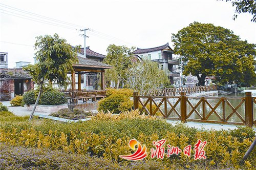 圖為該村休閑公園一角,。