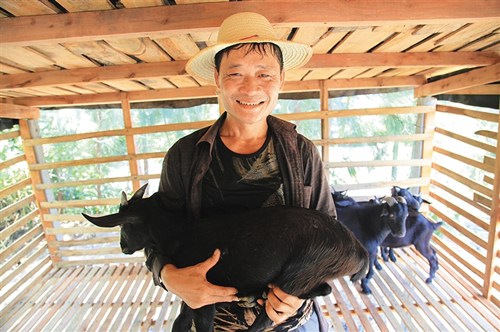 文昌相關(guān)部門為貧困戶送去黑山羊,,幫助他們脫貧,。