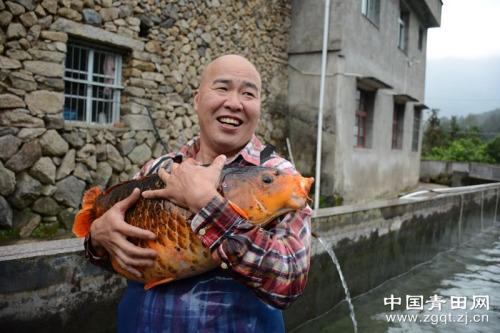 圖為金岳品與即將參展的方山“田魚王”合影,該魚從上世紀(jì)70年代開始養(yǎng)殖,,重約26斤,,長約75厘米。