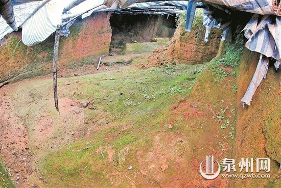中國僑網(wǎng)遺址發(fā)掘后進(jìn)行保護(hù)
