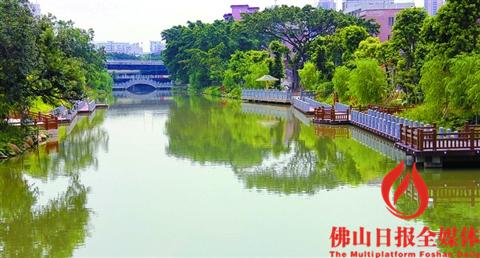 中國僑網(wǎng)實行“河長制”的禪城豐收涌改造升級后水環(huán)境得到改善,入選最近評選出的“佛山十大最美河湖”,。/佛山日報資料照片