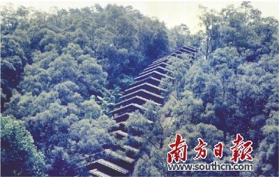 中國僑網(wǎng)1985年拍攝的筆架山宋代龍窯,。潮州市博物館供圖