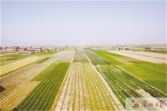 中國僑網(wǎng)圖為黃石鎮(zhèn)實(shí)施萬畝土地整治項(xiàng)目,帶動農(nóng)業(yè)生產(chǎn)提質(zhì)增效,。