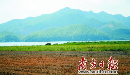 中國(guó)僑網(wǎng)廣東開(kāi)平孔雀湖國(guó)家濕地公園的建設(shè)有助于優(yōu)化水質(zhì),,保障開(kāi)平市區(qū)及周邊鎮(zhèn)近45萬(wàn)人的飲用水源安全,。潘偉珊 攝