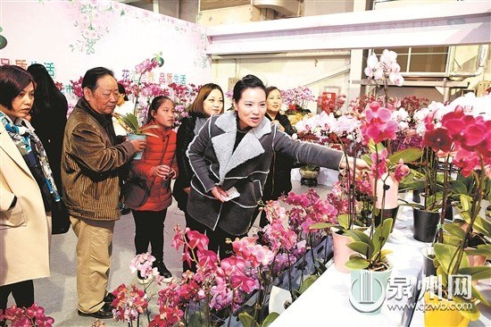 中國僑網(wǎng)陳曉東 許文龍 攝