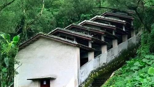中國僑網(wǎng)