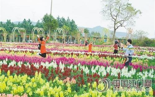 中國僑網(wǎng)游客在香家堡夢幻花世界景區(qū)開心地拍照留念。