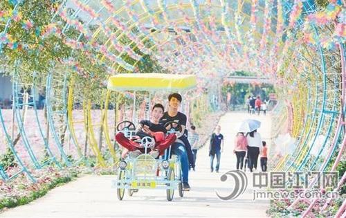 中國僑網(wǎng)春節(jié)期間,游客踩著雙人單車游覽恩平香家堡夢(mèng)幻花世界,。 陳明思 攝