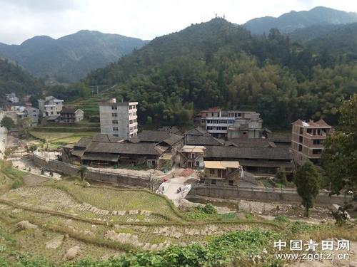 中國僑網(wǎng)
