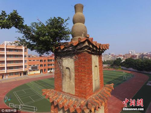 中國僑網(wǎng)位于安海成功中心小學內(nèi)的星塔 圖片來源:視覺中國