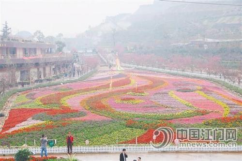 中國僑網(wǎng)恩平花海歡樂世界是一個農(nóng)業(yè)觀光旅游項目,,集自然觀光,、花卉觀賞,、休閑游玩,、餐飲美食于一體,。