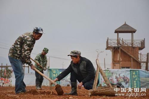 中國僑網(wǎng)