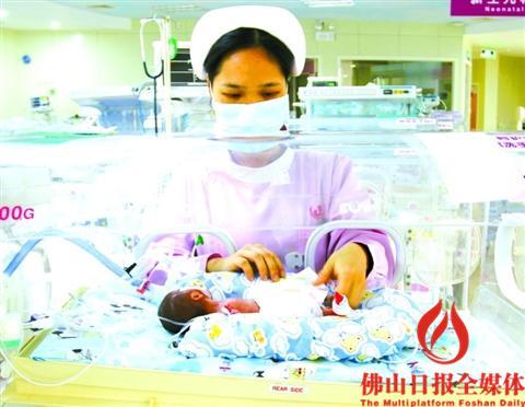 中國(guó)僑網(wǎng)護(hù)士正在照顧出生體重只有600克的女嬰。 佛山日?qǐng)?bào)記者駱蘇艷 通訊員盧敏攝
