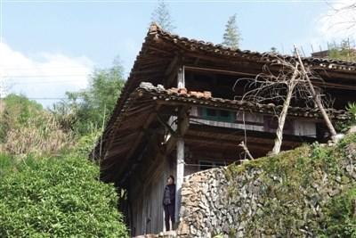 中國(guó)僑網(wǎng)黃山自然村的房屋都依山而建,,地基由山石壘起,,村后是層層梯田。